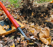 Load image into Gallery viewer, Close up of Honeysuckle Popper in use with nearby root from removed Honeysuckle bush